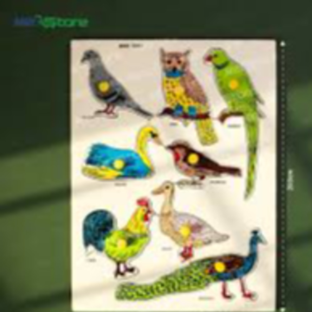birds and reptiles wooden board for kids