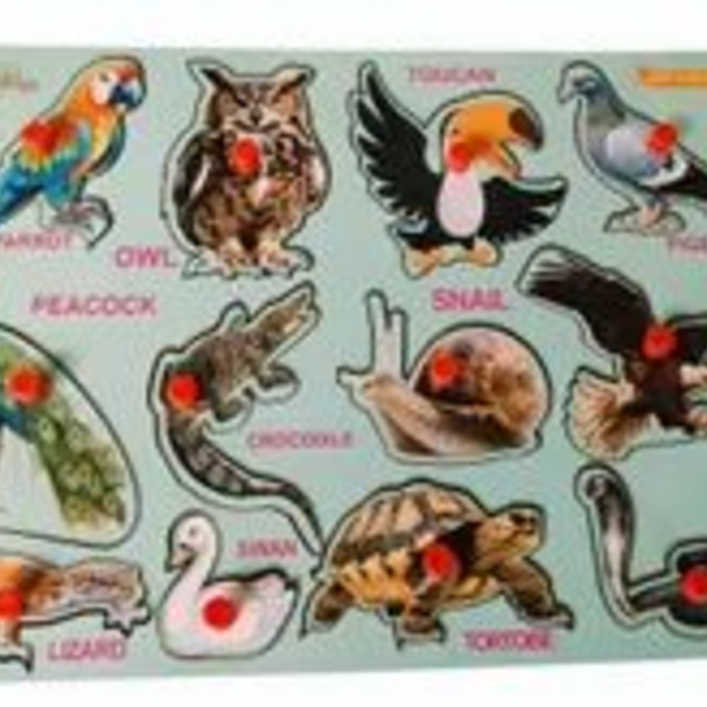 Wooden Birds and Reptiles peg puzzle