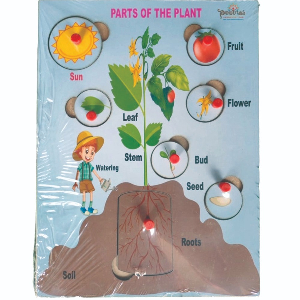 Wooden Parts of the Plant peg puzzle board